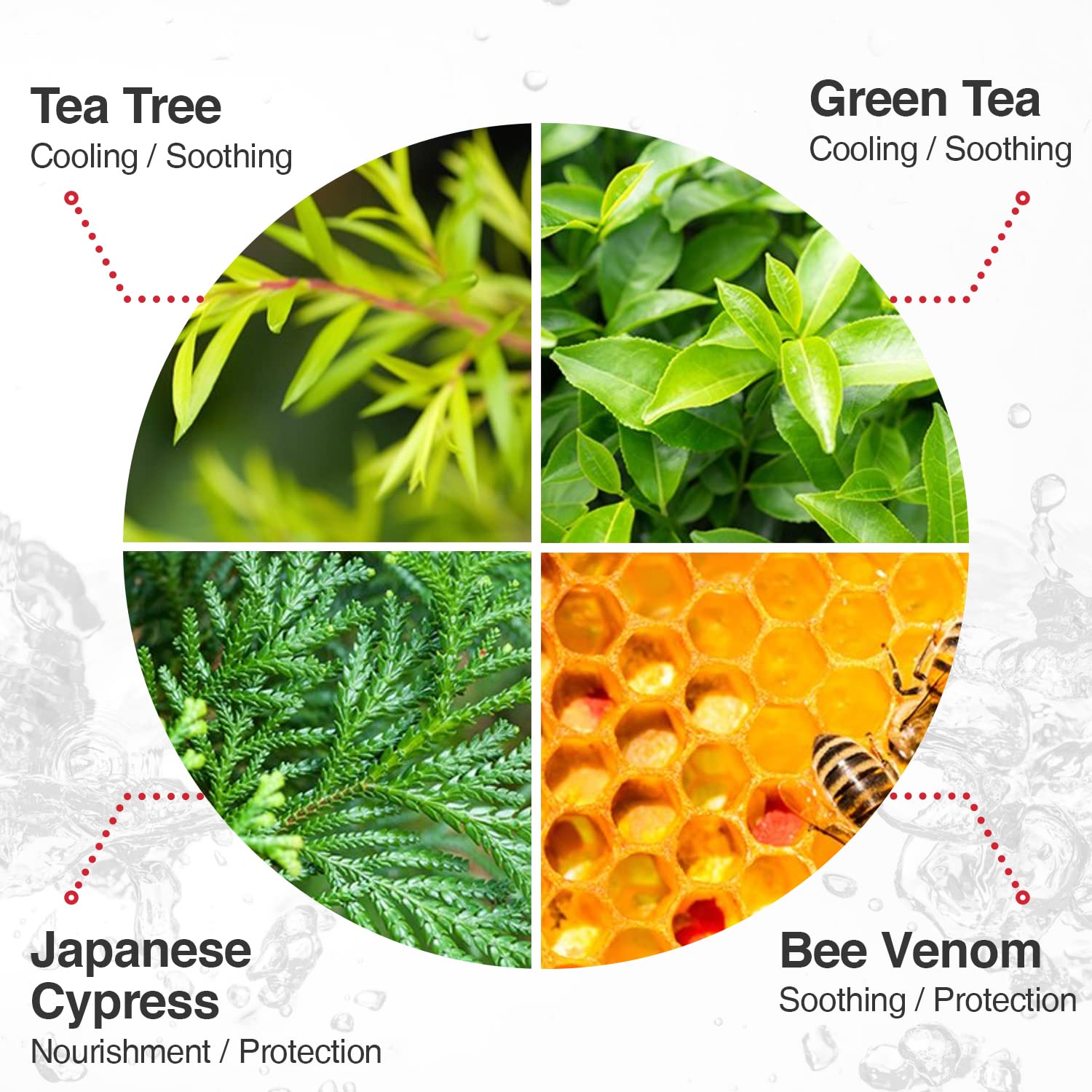 Benton Snail Bee Ultimate Serum+ 35mL