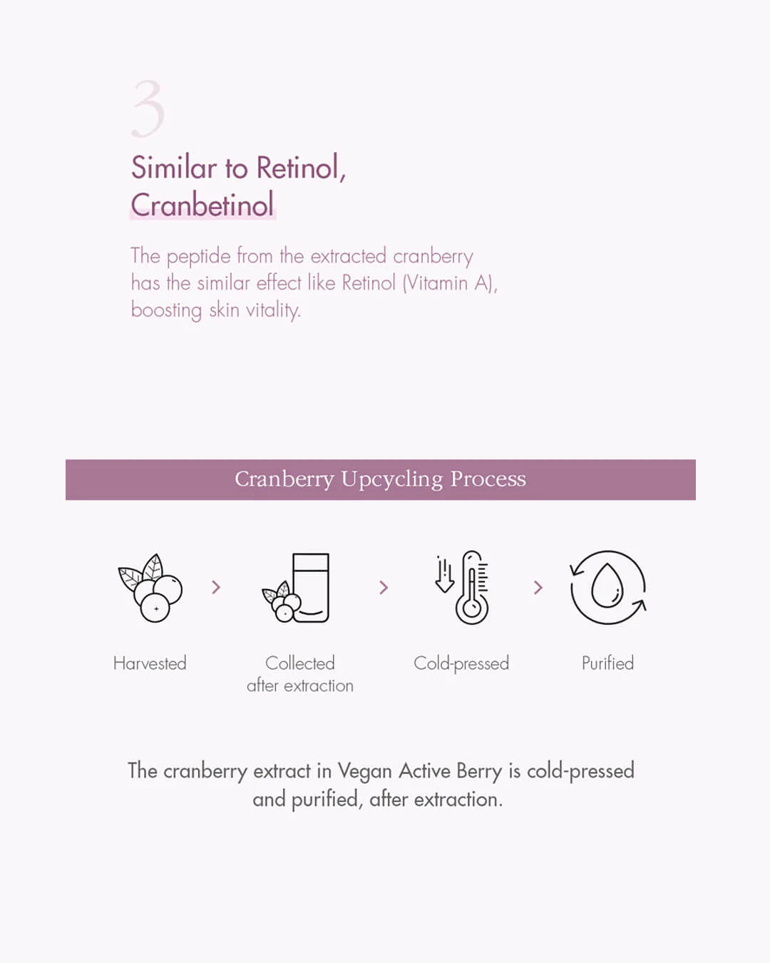 Dr. Ceuracle - Vegan Active Berry First Essence