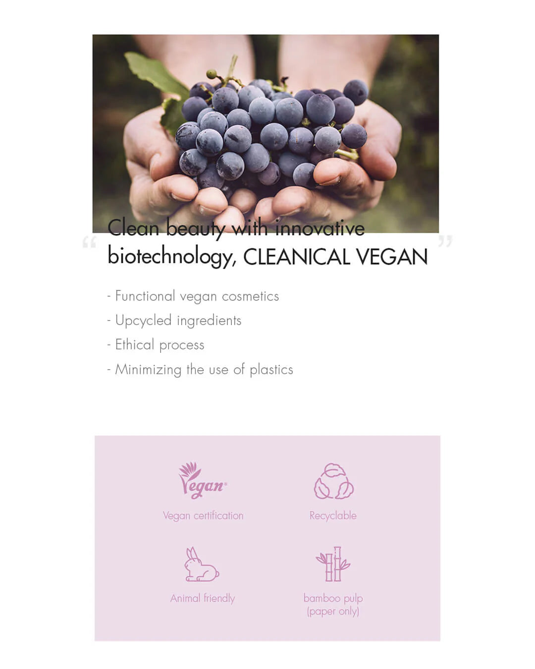 Dr. Ceuracle - Vegan Active Berry First Essence