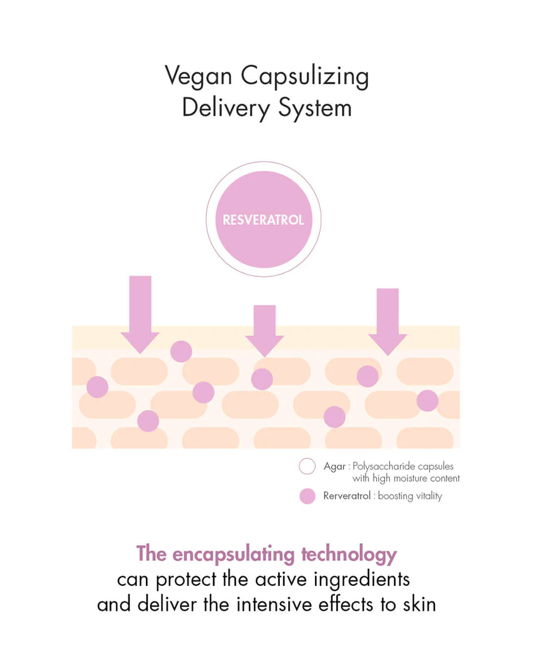 Dr. Ceuracle - Vegan Active Berry First Essence