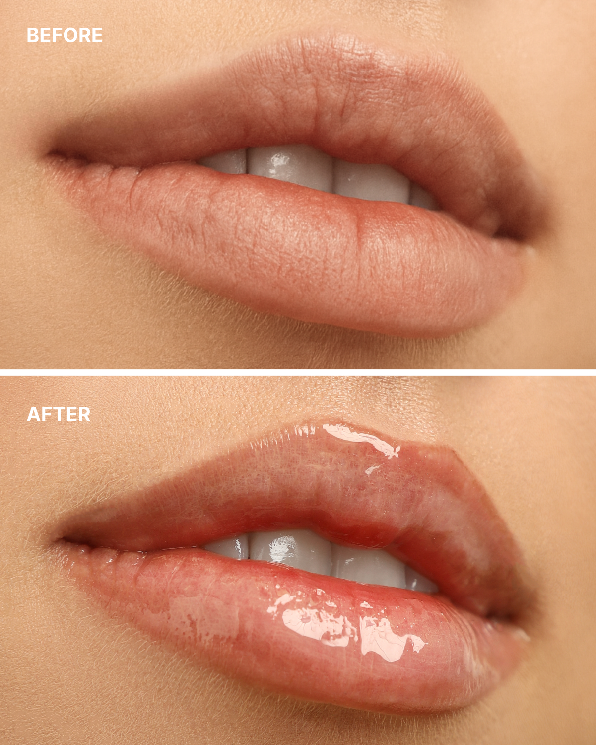 LIPSS Lipper Kyiv Cake