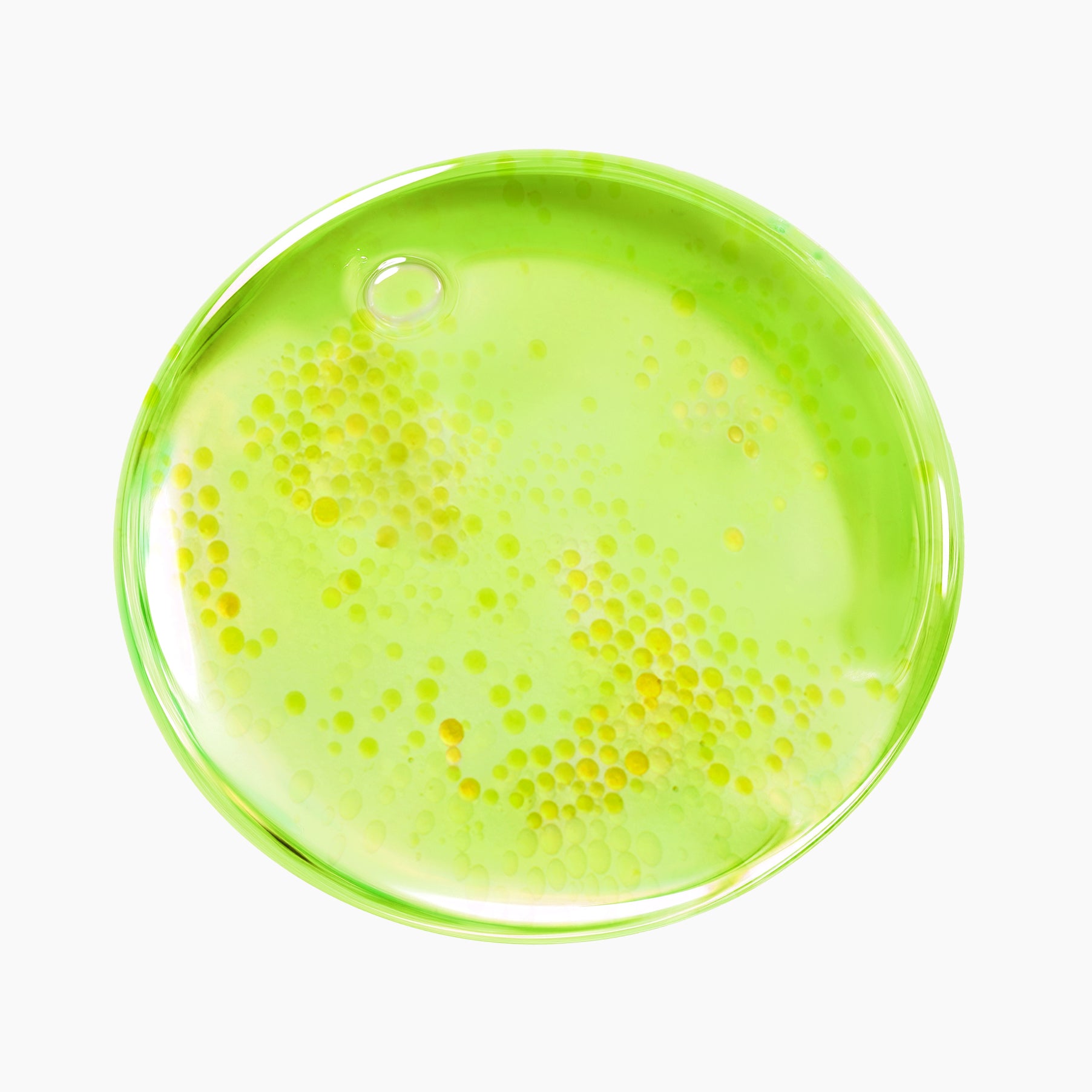 Azelaic Acid 10 Kojic Tea Tree Serum